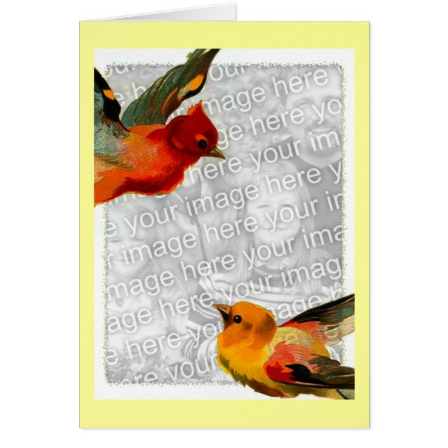 Birds, Your Photo  Here (Front)