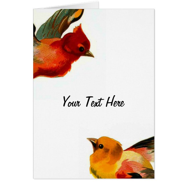 Birds Your Text Here Cards (Front)