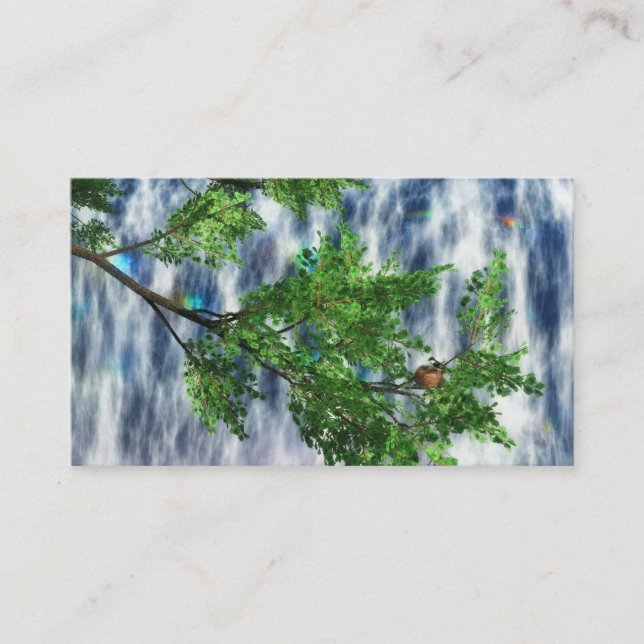 Birdsnest Falls Bookmarks Business Card (Front)
