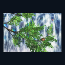 Birdsnest Falls Canvas Print