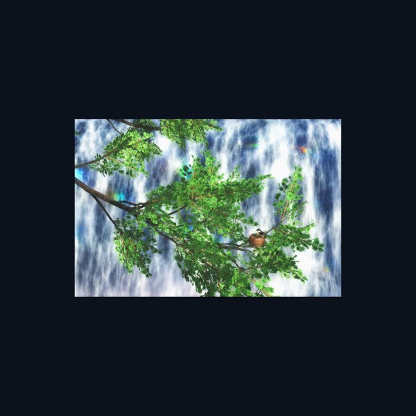 Birdsnest Falls Canvas Print Birdsnest Falls Canvas Print