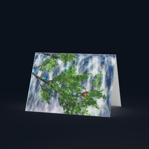 Birdsnest Falls Card