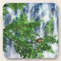 Birdsnest Falls Cork Coasters