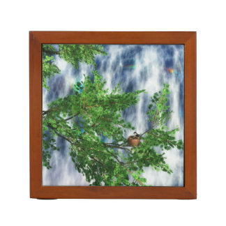 Birdsnest Falls Desk Organizer