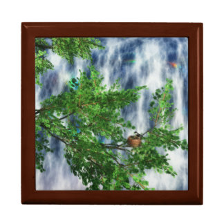 Birdsnest Falls Jewelry Box