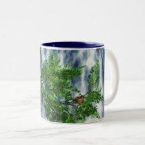 Birdsnest Falls Mug