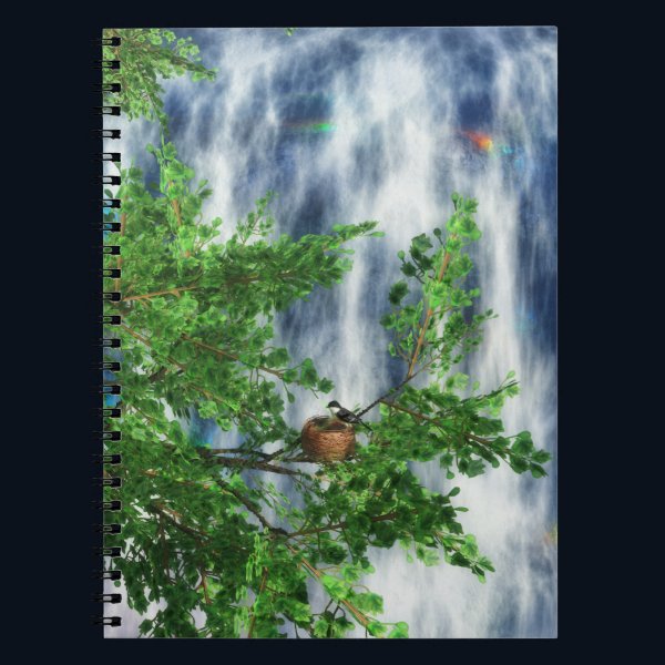 Birdsnest Falls Notebook