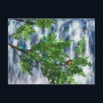 Birdsnest Falls Postcard