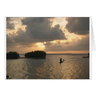 birdsun.jpg cards