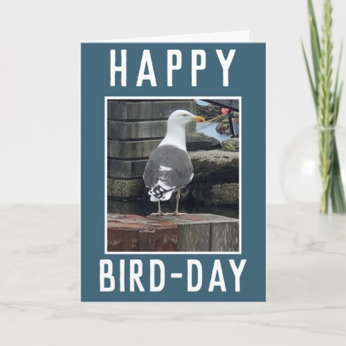 Birdwatcher or Birding Enthusiast Birthday Card