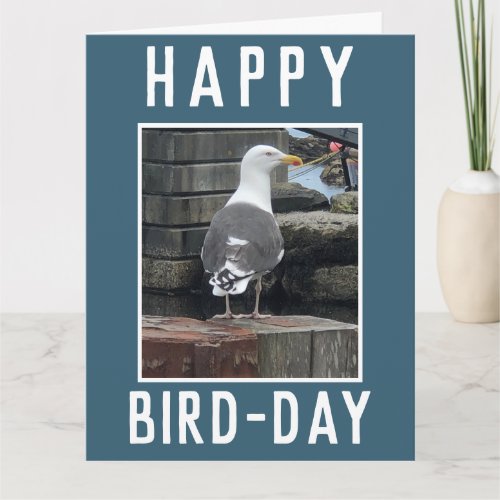 Birdwatcher or Birding Enthusiast Birthday Card