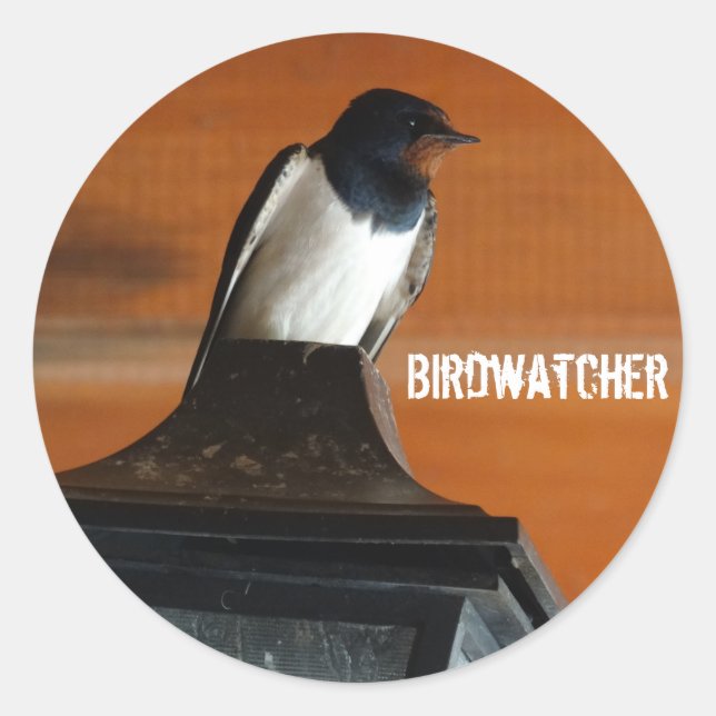 Birdwatcher Swallow  Photo Classic Round Sticker (Front)