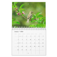 BIRD LOVERS BIRD WATCHERS WATERCOLOR 2024 MINI MAGNETIC CALENDAR