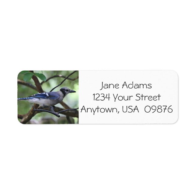 Birdwatchers! Pretty Blue Jay, Personalized Label (Front)