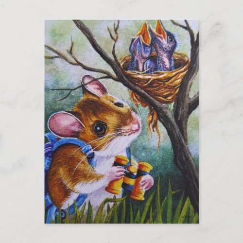 Birdwatching Field Mouse Finds Nest Watercolor Art Postcard