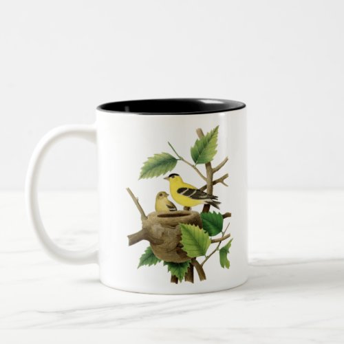Birdwatching gift vintage american goldfinch nest Two_Tone coffee mug