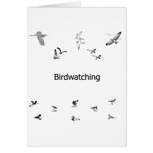 Birdwatching Line Art Cards (Front)