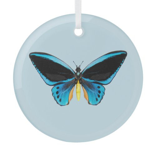 Birdwing Butterfly Glass Ornament