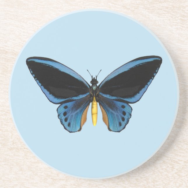 Birdwing Butterfly Sandstone Coaster (Front)