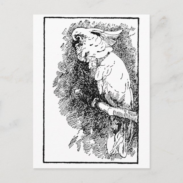 Birdy Postcard (Front)