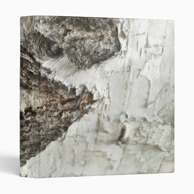 Birh bark pattern 3 ring binder (Front/Spine)
