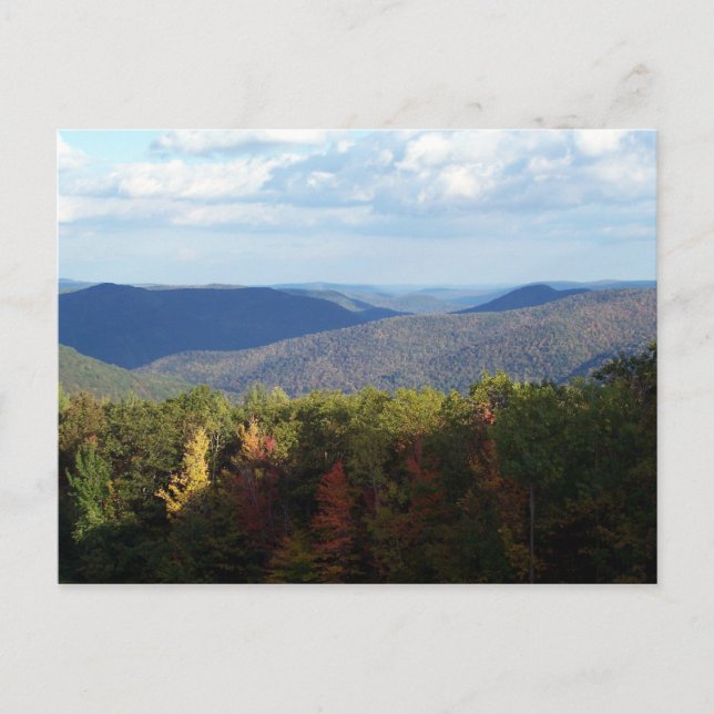 Birkshires Postcard (Front)