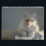 Birman Calendar<br><div class="desc">A Calendar with 12 different pictures of Birman Cats</div>