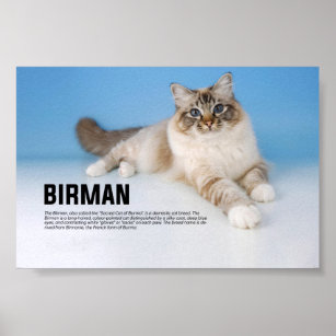 cat breed poster