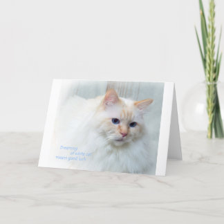 Birman Cat Card