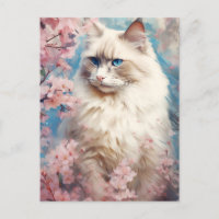 Birman Cat flowers
