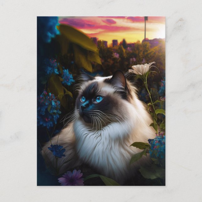 Birman Cat in City Garden at Sundown Postcard (Front)