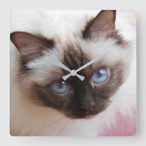 Birman Cat  Or DIY Pet Photo Square Wall Clock