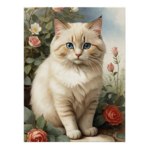 Birman Cat Poster