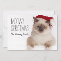Birman Cat Santa