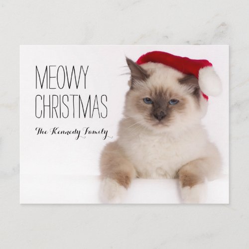 Birman Cat Santa Holiday Postcard