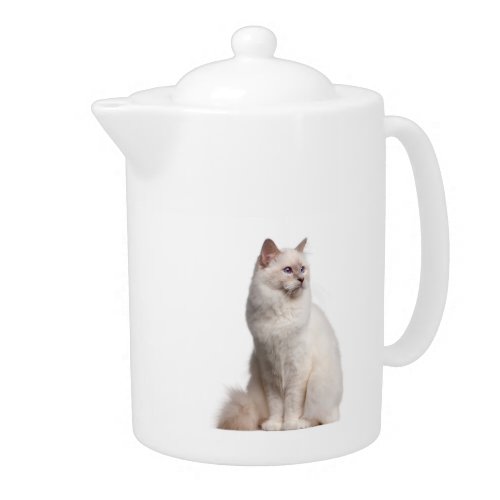 Birman Cat Teapot