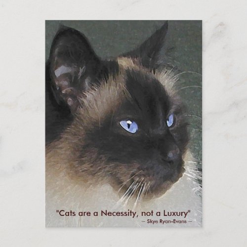BIRMAN RAGDOLL CAT Collection Postcard