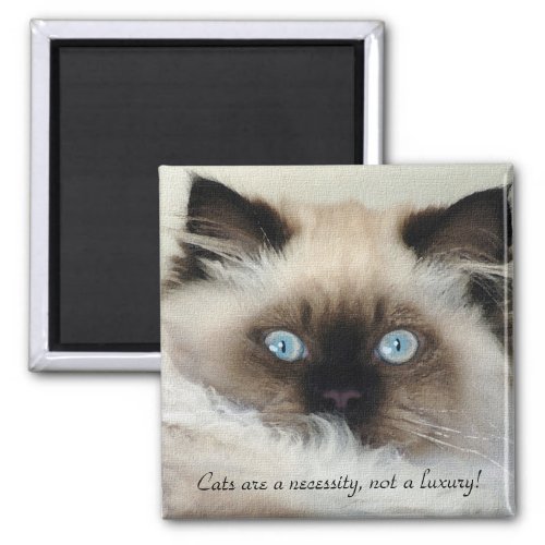 Birman _ Ragdoll Cat Lover Magnet