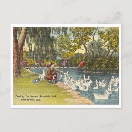 Birmingham Alabama Vintage Avondale Park Postcard