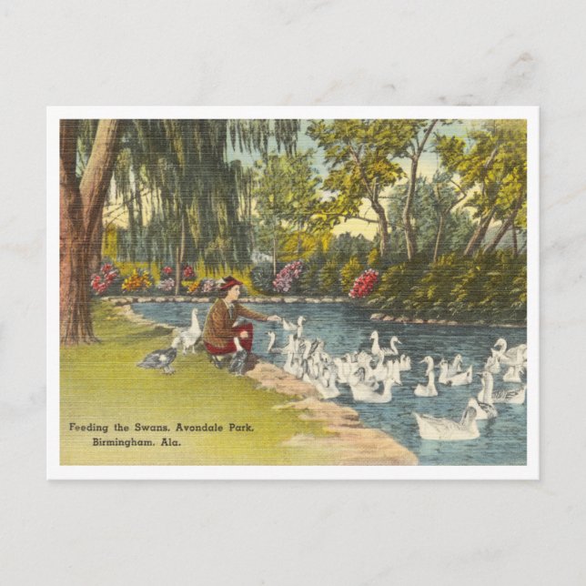 Birmingham Alabama Vintage Avondale Park Postcard (Front)