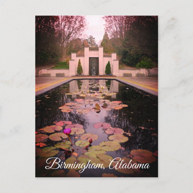 Birmingham Alabama Water Lilies Postcard (Front)