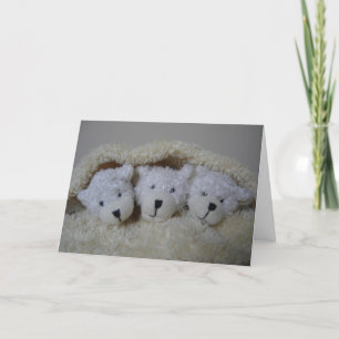 Birth announcement for triplets