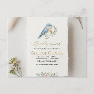 Birth Announcement Postcard