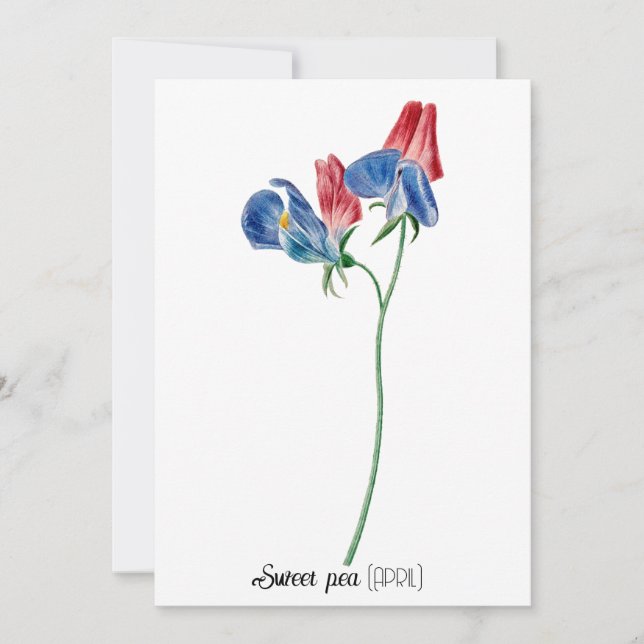 Birth Date Flower Sweet pea (April) Note Card (Front)
