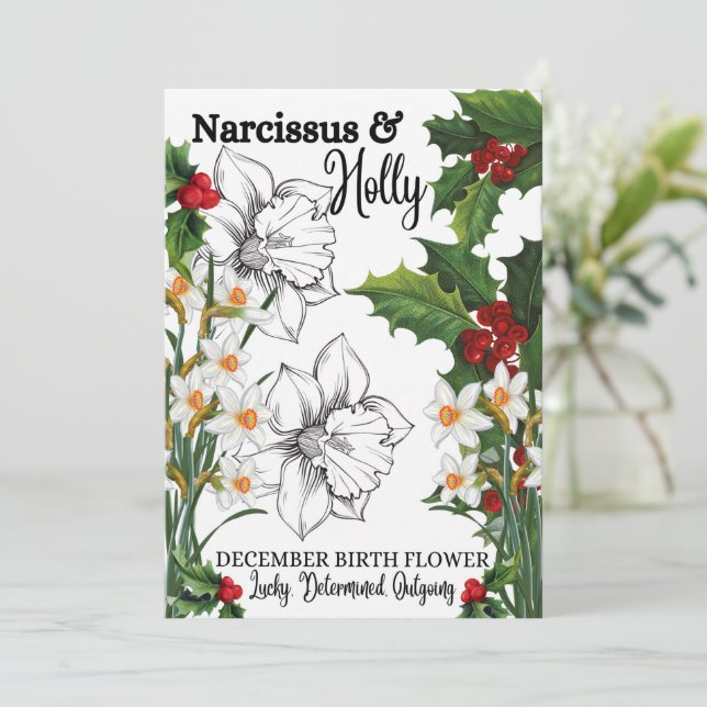 Birth Flower, December, Narcissus, Holly, Birthday Holiday Card (Standing Front)