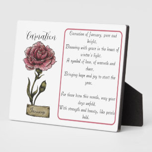 Birth Flower JANUARY Birthday Carnation Plaque