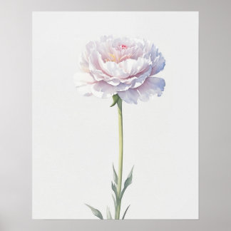 Birth Flower January Carnation Poster