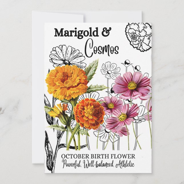 Birth Flower, October, Marigold, Cosmos, Birthday Holiday Card (Front)