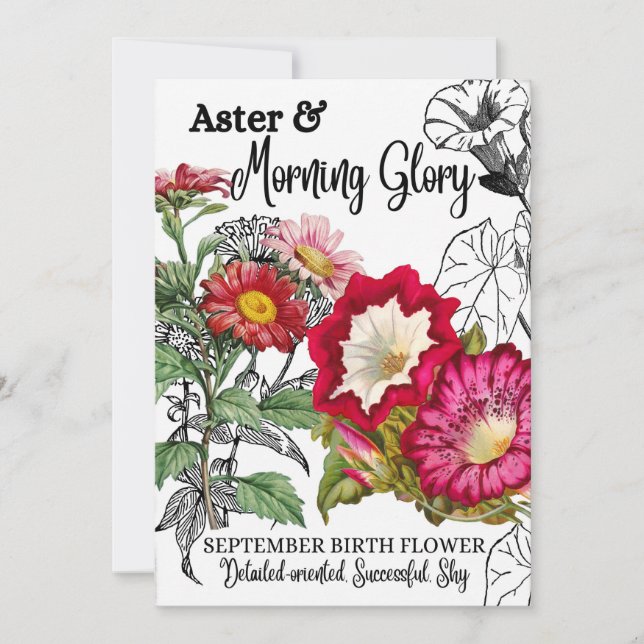 Birth Flower, September, Morning Glory, Aster Holiday Card (Front)