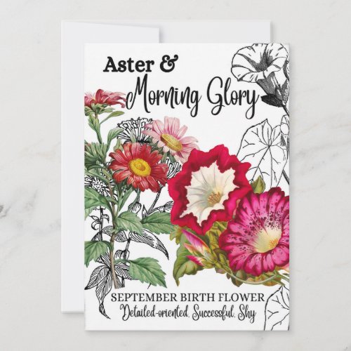 Birth Flower September Morning Glory Aster Holiday Card